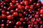 cranberries_562459